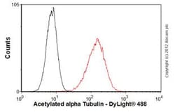 Abcam Mouse monoclonal [6-11B-1] to alpha Tubulin (acetyl K40), Quantity: