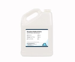 Boston Bioproducts Inc Phosphate Buffered Saline, PBS (10X, for Western