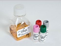 Lonza Walkersville SmGM- 2 Smooth Muscle Cell Growth Medium-2 SingleQuots