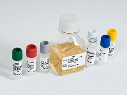 Lonza Walkersville EGM-2 MV Microvascular Endothelial SingleQuots Kit,