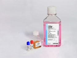 Lonza Walkersville OGM Osteoblast Growth Medium BulletKit, Quantity: Each