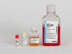 Lonza Walkersville MSCGM Mesenchymal Stem Cell Growth Medium BulletKit