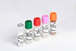 Lonza Walkersville MEGM Mammary Epithelial Cell Growth Medium SingleQuots
