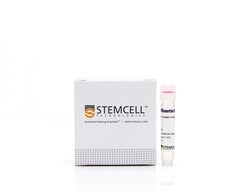 STEMCELL Technologies RosetteSep Human CD4+ T Cell Enrichment Cocktail,