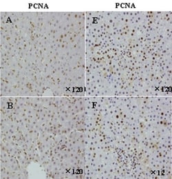 Abcam&nbsp;10 x  Citrate Buffer pH 6.0, 125ML