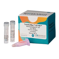 BIOSEARCH TECHNOLOGIES INC (Lucigen) TransforMax EC100 Electrocompetent