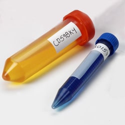 USA Scientific Inc&nbsp;Cryo-Tags, 1.5 inch x 0.75 inch, white, on sheets