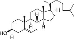 Avanti Polar Lipids CHOLESTROL,100MG, Quantity: Each of 1