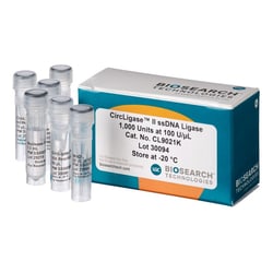 BIOSEARCH TECHNOLOGIES INC (Lucigen) CircLigase II ssDNA Ligase, 1,000