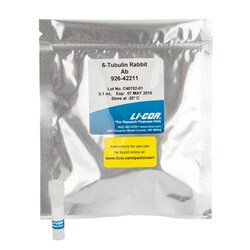 LI COR BIOTECH LLC Tubulin Rabbit Polyclonal Antibody for Normalization