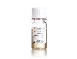 STEMCELL Technologies NeuroCult SM1 Neuronal Supplement, Size: 10 mL, Quantity: