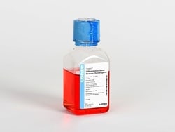 Lonza Walkersville hMSC Human Mesenchymal Stem Cell Chondrogenic Differentiation
