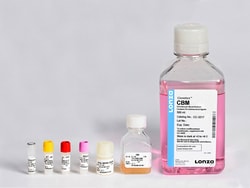 Lonza Walkersville CGM Chondrocyte Growth Medium BulletKit