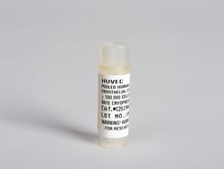 Lonza Walkersville HUVEC – Human Umbilical Vein Endothelial Cells, Pooled,