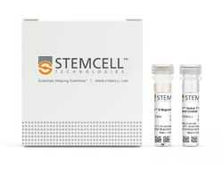 STEMCELL Technologies EasySep Human T Cell Enrichment Kit, For processing: