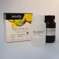 Revvity Health Sciences Inc Western Lightning Ultra, Chemiluminescent Substrate