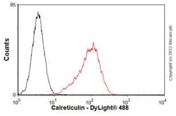 Abcam Mouse monoclonal [FMC 75] to Calreticulin, Quantity: Each of 1