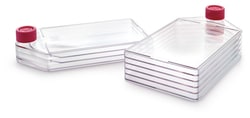 MilliporeSigma&nbsp;Millicell HY 5-layer cell culture flask, T-1000, sterile