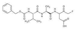 Enzo Life Sciences Z-VAD-FMK (1 mg) CAS: 220644-02-0, Quantity: Each of