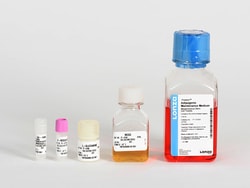 Lonza Walkersville Human Mesenchymal Stem Cell (hMSC) Adipogenic Differentiation