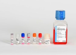 Lonza Walkersville Human Mesenchymal Stem Cell (hMSC) Chondrogenic Differentiation