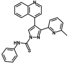 Reprocell A83-01, Quantity: Each of 1