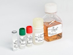 Lonza Walkersville SKGM - 2 Skeletal Muscle Cell Growth Medium-2 SingleQuots