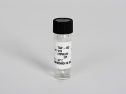 Lonza Walkersville TGF Beta 3 for hMSC Chondrogenic Differentiation Kit