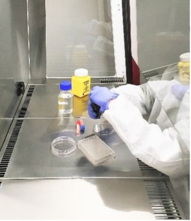 ERLAB F Activated Carbon Filter F Extraction | Buy Online | ERLAB ...