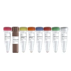 VAZYME INTERNATIONAL LLC&nbsp;RNA-seq Library Prep Kit