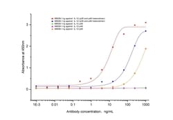 NeutraKine IL-12 p35 Mouse, anti-Human, Clone: 2G11G6, Proteintech Quantity: