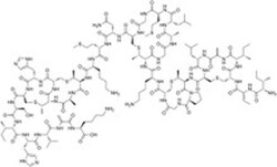 TOKU-E Nisin ReadyMade Solution 5 x 1 mL | Buy Online | TOKU-E&trade; | Fisher Scientific