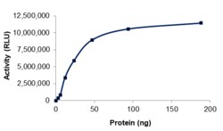 Sino Biological&nbsp;Recombinant Human OAS1 Protein (Full Length, His Tag), Active