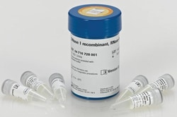 Sigma Aldrich Fine Chemicals Biosciences DNase I recombinant, RNase-free,
