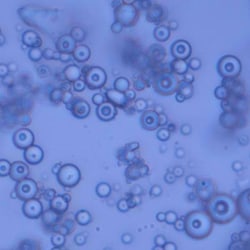 Polysciences, Inc. Glass Beads (3 to 10um), From Specially Selected Soda