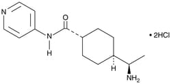Cayman Chemical Y-27632 (hydrochloride), 129830-38-2, 10 mg, Quantity: