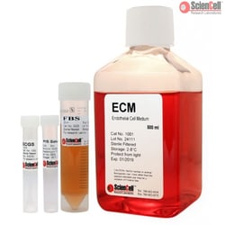 Sciencell Research Laboratories Endothelial Cell Medium, Complete Kit (includes supplements)