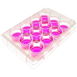 MatTek Corporation (Case of 10) 12-Well Plates, No. 1.5 Uncoated Coverslip,