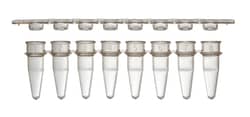 USA Scientific Inc 0.2 mL PCR 8-tube strip with flat 8-cap strips, natural