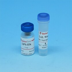 Invivogen Standard LPS, E. coli K12, 5 mg, Quantity: Each of 1
