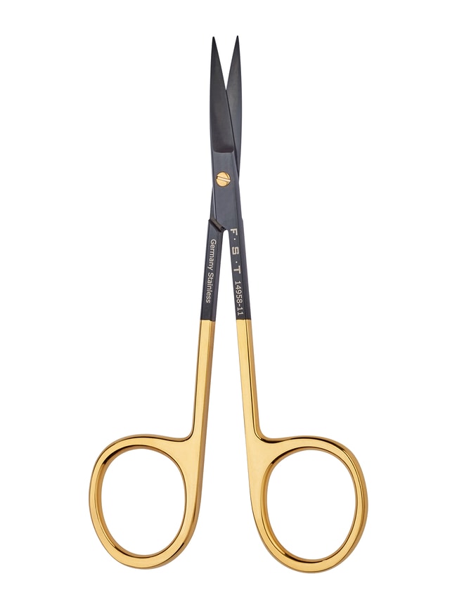 Ceramic Scissors