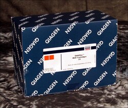 Qiagen, Inc.&nbsp;QIAfilter Midi Cartridges, for fast purification of up to 10 mg transfection-grade plasmid or cosmid DNA, 25/pk