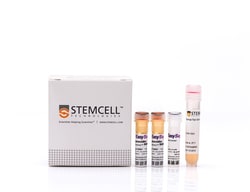 STEMCELL Technologies EasySep Mouse CD8+ T Cell Isolation Kit, For processing: