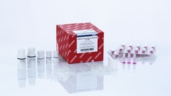 Qiagen, Inc.&nbsp;MIRNEASY SERUM/PLASMA ADVN KIT