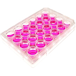 MatTek Corporation (Case of 10) 24-Well Plates, No. 1.5 Uncoated Coverslip,