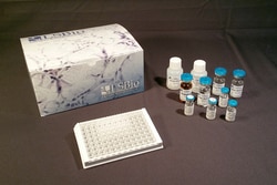 Vector Laboratories MOUSE HMGB1 ELISA KIT, Quantity: Each of 1
