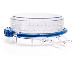 STEMCELL Technologies Hypoxia Incubator Chamber, Size: 1 Unit, Quantity: