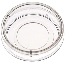 MatTek Corporation 20MM GLS BTM PETRI DISH PK/10