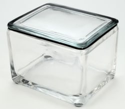 Electron Microscopy Sciences 20-Slide Staining Dish and Lid only, 3¾