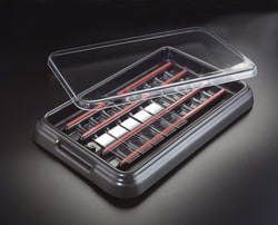 Andwin Scientific 21 SLIDE STAIN TRAY W/CLR LID